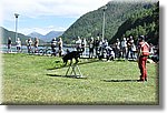 Pontechianale (CN) 7 Agosto 2016 - Dog Day - Croce Rossa Italiana - Comitato Regionale del Piemonte