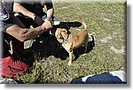 Pontechianale (CN) 7 Agosto 2016 - Dog Day - Croce Rossa Italiana - Comitato Regionale del Piemonte