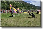 Pontechianale (CN) 7 Agosto 2016 - Dog Day - Croce Rossa Italiana - Comitato Regionale del Piemonte