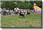 Pontechianale (CN) 7 Agosto 2016 - Dog Day - Croce Rossa Italiana - Comitato Regionale del Piemonte