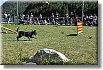 Pontechianale (CN) 7 Agosto 2016 - Dog Day - Croce Rossa Italiana - Comitato Regionale del Piemonte