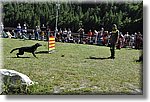 Pontechianale (CN) 7 Agosto 2016 - Dog Day - Croce Rossa Italiana - Comitato Regionale del Piemonte