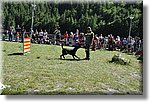 Pontechianale (CN) 7 Agosto 2016 - Dog Day - Croce Rossa Italiana - Comitato Regionale del Piemonte