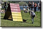 Pontechianale (CN) 7 Agosto 2016 - Dog Day - Croce Rossa Italiana - Comitato Regionale del Piemonte