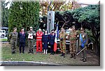 Chieri 4  Novembre 2016 - Monumento ai Caduti Corpo Militare Cri - Croce Rossa Italiana- Comitato Regionale del Piemonte