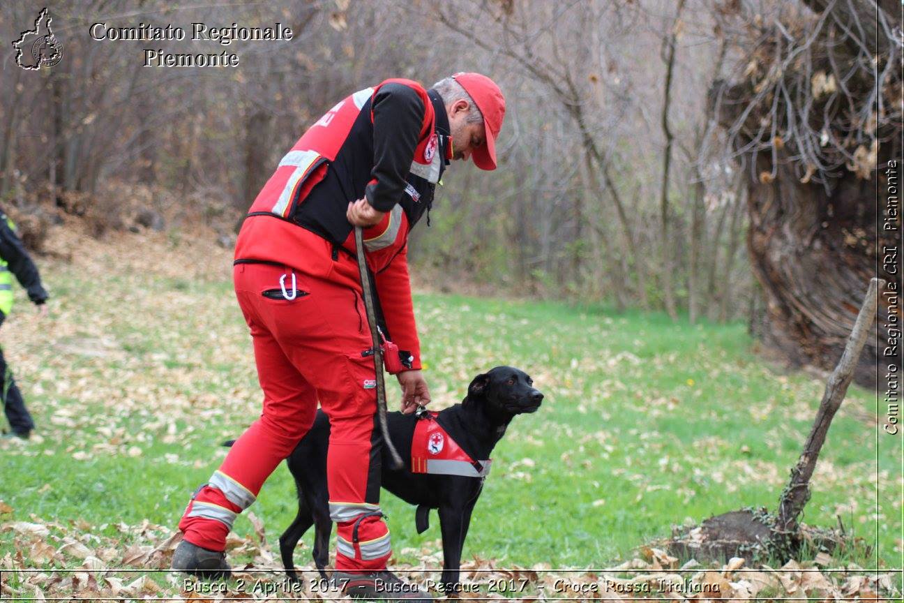 Busca 2 Aprile 2017 - Busca Rescue 2017 - Croce Rossa Italiana- Comitato Regionale del Piemonte