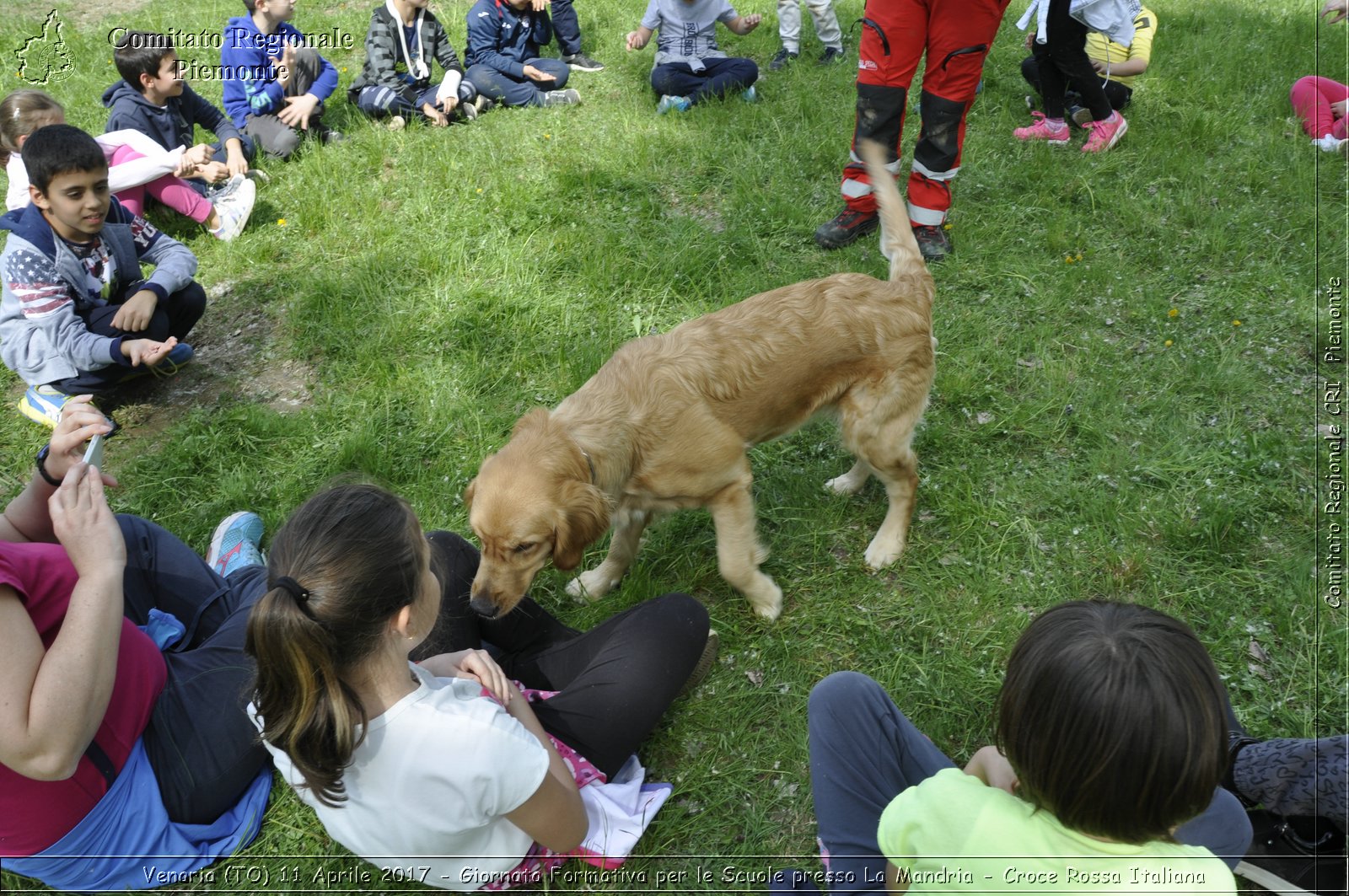 Venaria (TO) 11 Aprile 2017 - Giornata Formativa per le Scuole presso La Mandria - Croce Rossa Italiana- Comitato Regionale del Piemonte