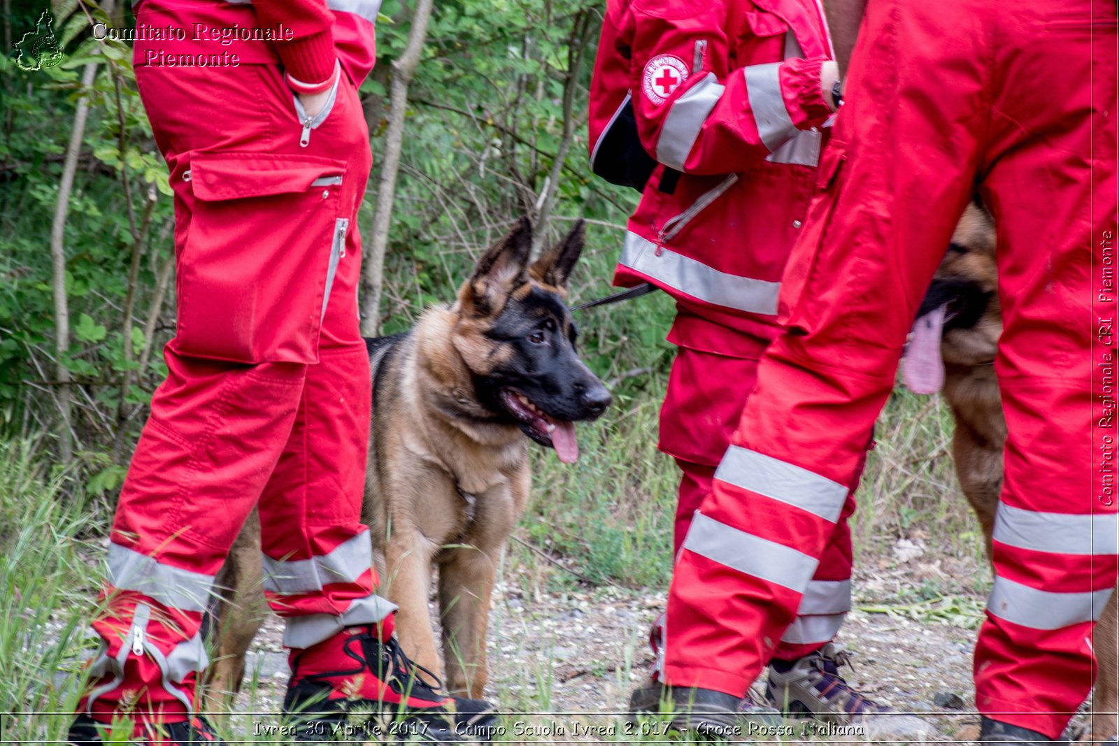 Ivrea 30 Aprile 2017 - Campo Scuola 2.017 - Croce Rossa Italiana- Comitato Regionale del Piemonte