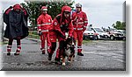 Ivrea 30 Aprile 2017 - Campo Scuola 2.017 - Croce Rossa Italiana- Comitato Regionale del Piemonte