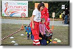 Villanova 24 Settembre 2017 - La festa Alp e Montagnard - Croce Rossa Italiana- Comitato Regionale del Piemonte