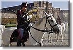 Venaria Reale 15 Ottobre 2017 - i 10 anni della Reggia - Croce Rossa Italiana- Comitato Regionale del Piemonte