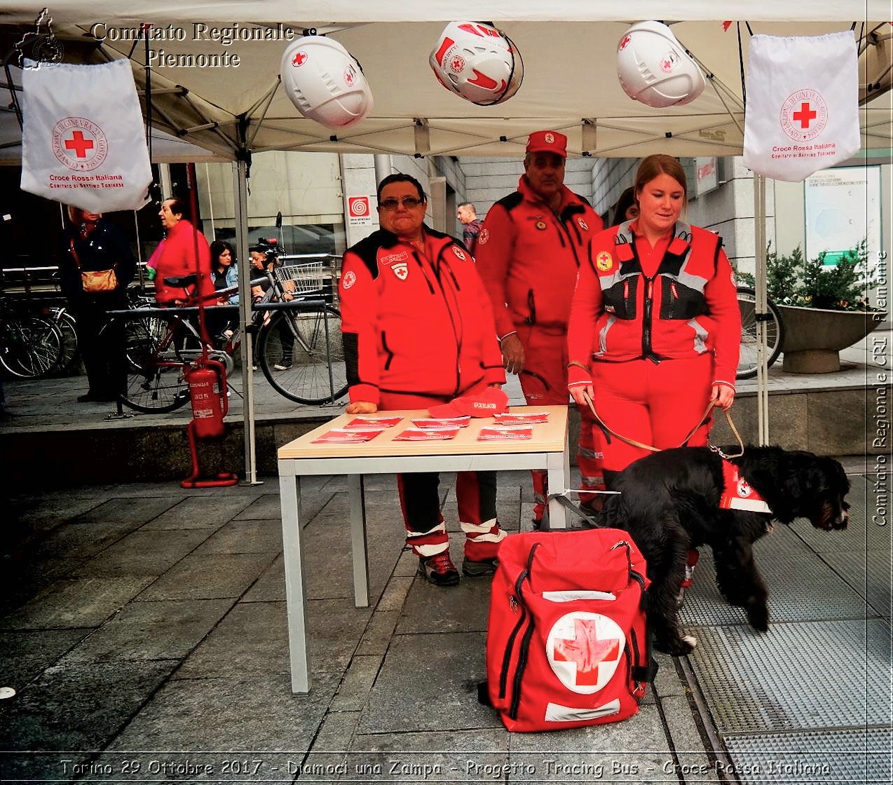 Torino 29 Ottobre 2017 - Diamoci una Zampa - Progetto Tracing Bus - Croce Rossa Italiana- Comitato Regionale del Piemonte