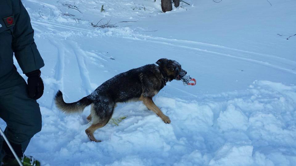 Bardonecchia 20 Gennaio 2018 - Addestramento al "Soccorso in Valanga" degli O.S.P.- Croce Rossa Italiana- Comitato Regionale del Piemonte