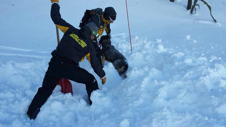 Bardonecchia 20 Gennaio 2018 - Addestramento al "Soccorso in Valanga" degli O.S.P.- Croce Rossa Italiana- Comitato Regionale del Piemonte