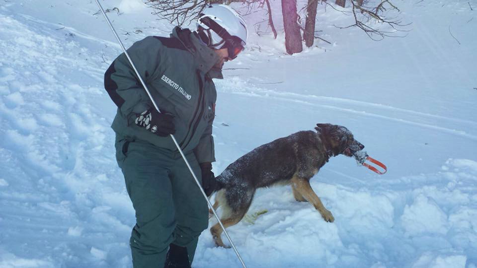 Bardonecchia 20 Gennaio 2018 - Addestramento al "Soccorso in Valanga" degli O.S.P.- Croce Rossa Italiana- Comitato Regionale del Piemonte