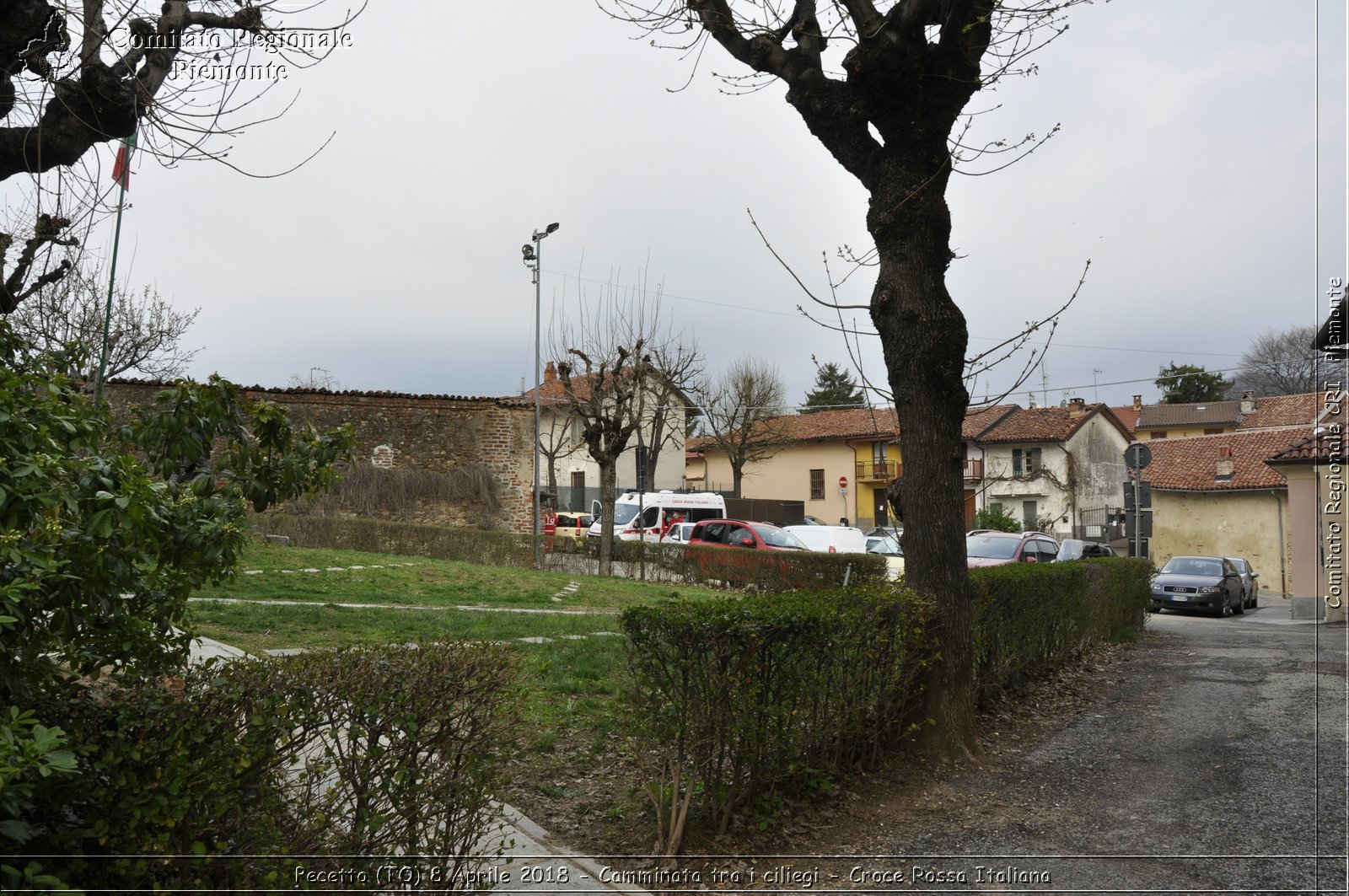 Pecetto (TO) 8 Aprile 2018 - Camminata tra i ciliegi - Croce Rossa Italiana- Comitato Regionale del Piemonte