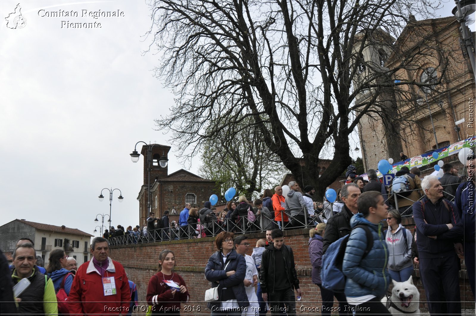 Pecetto (TO) 8 Aprile 2018 - Camminata tra i ciliegi - Croce Rossa Italiana- Comitato Regionale del Piemonte