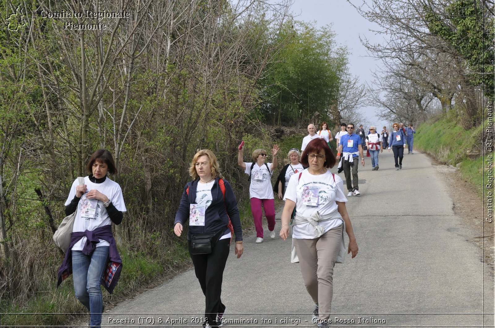 Pecetto (TO) 8 Aprile 2018 - Camminata tra i ciliegi - Croce Rossa Italiana- Comitato Regionale del Piemonte