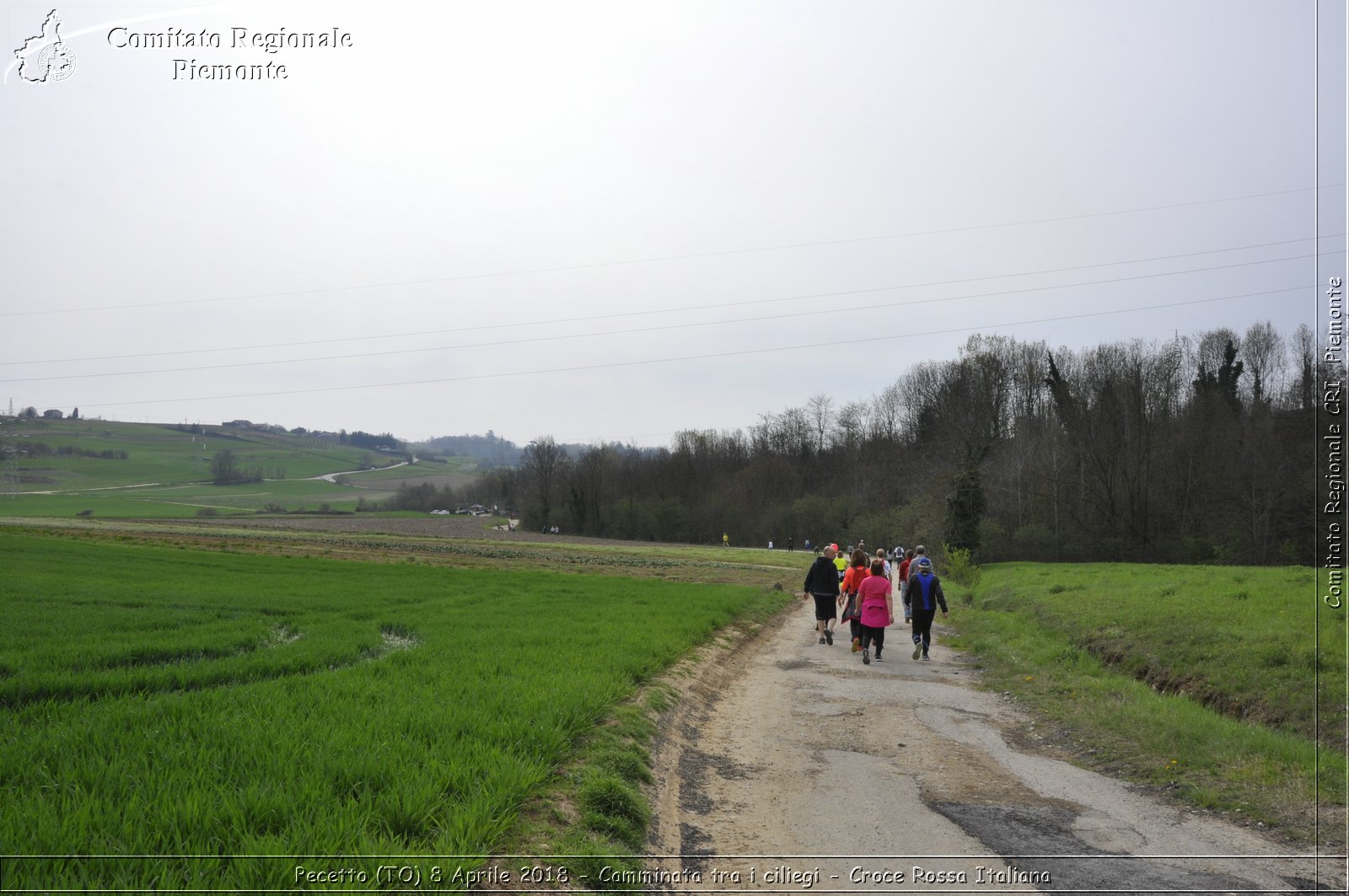 Pecetto (TO) 8 Aprile 2018 - Camminata tra i ciliegi - Croce Rossa Italiana- Comitato Regionale del Piemonte