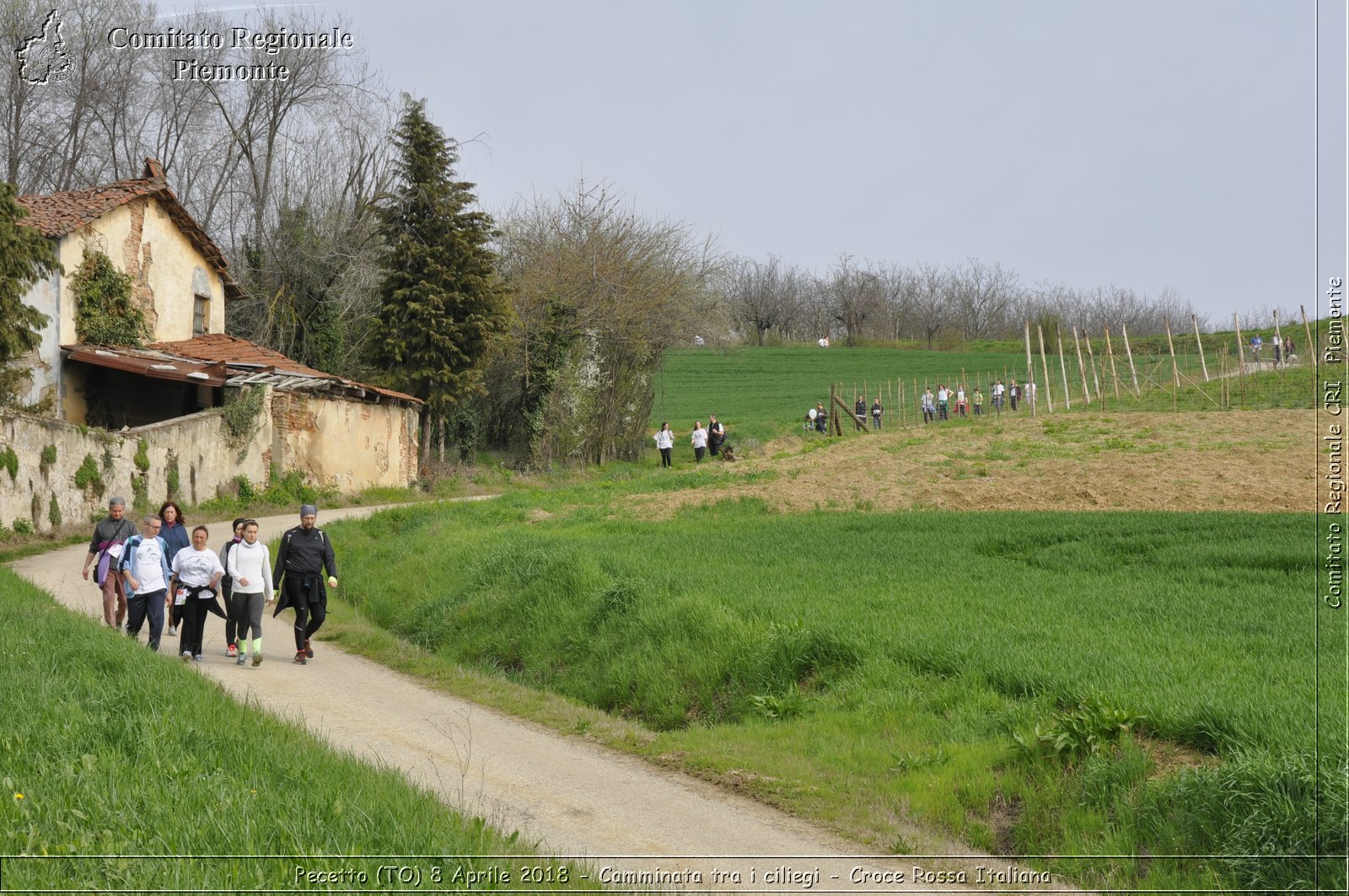 Pecetto (TO) 8 Aprile 2018 - Camminata tra i ciliegi - Croce Rossa Italiana- Comitato Regionale del Piemonte