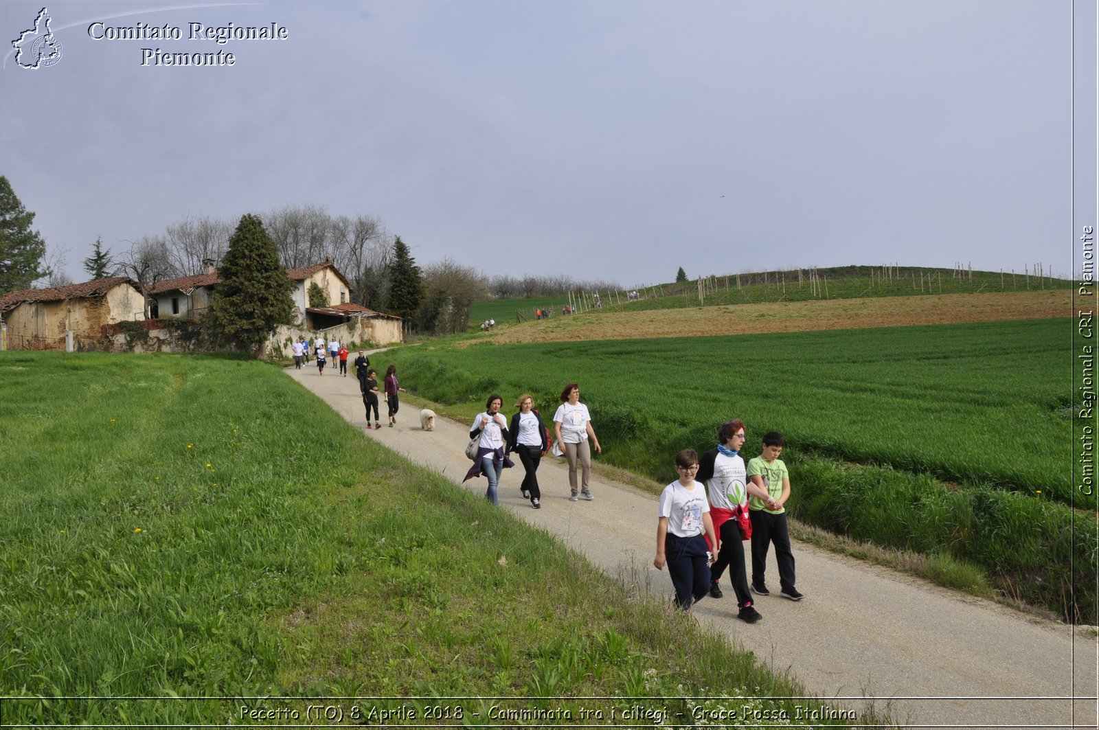 Pecetto (TO) 8 Aprile 2018 - Camminata tra i ciliegi - Croce Rossa Italiana- Comitato Regionale del Piemonte