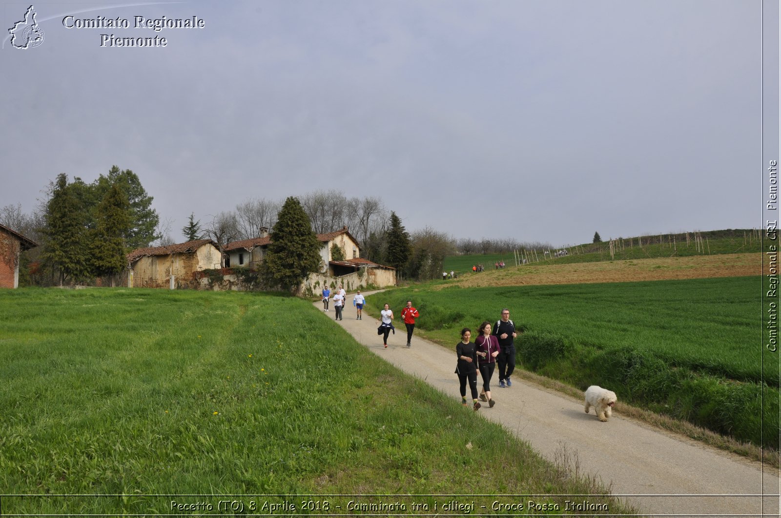 Pecetto (TO) 8 Aprile 2018 - Camminata tra i ciliegi - Croce Rossa Italiana- Comitato Regionale del Piemonte