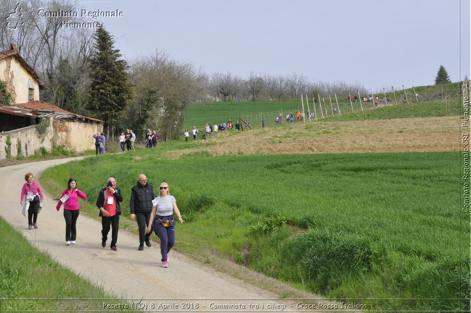 Pecetto (TO) 8 Aprile 2018 - Camminata tra i ciliegi - Croce Rossa Italiana- Comitato Regionale del Piemonte