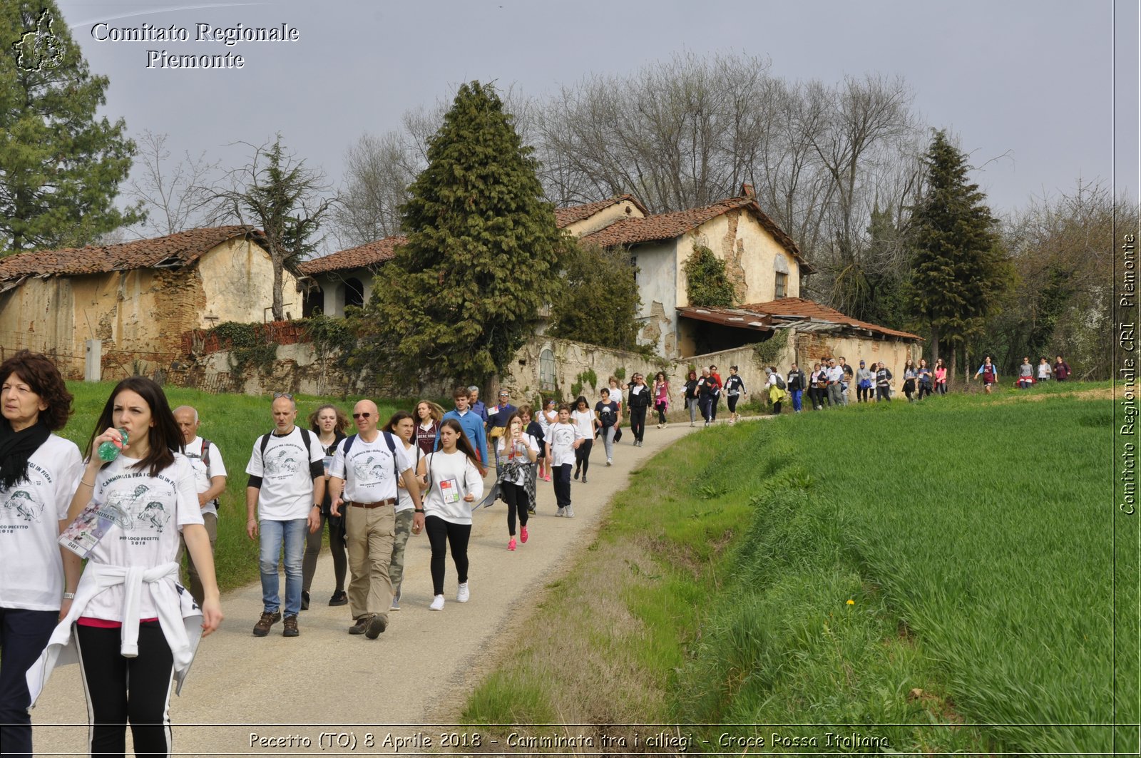 Pecetto (TO) 8 Aprile 2018 - Camminata tra i ciliegi - Croce Rossa Italiana- Comitato Regionale del Piemonte