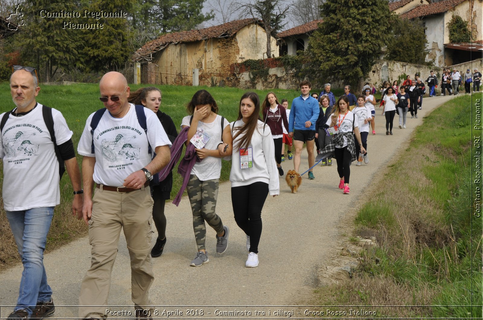 Pecetto (TO) 8 Aprile 2018 - Camminata tra i ciliegi - Croce Rossa Italiana- Comitato Regionale del Piemonte