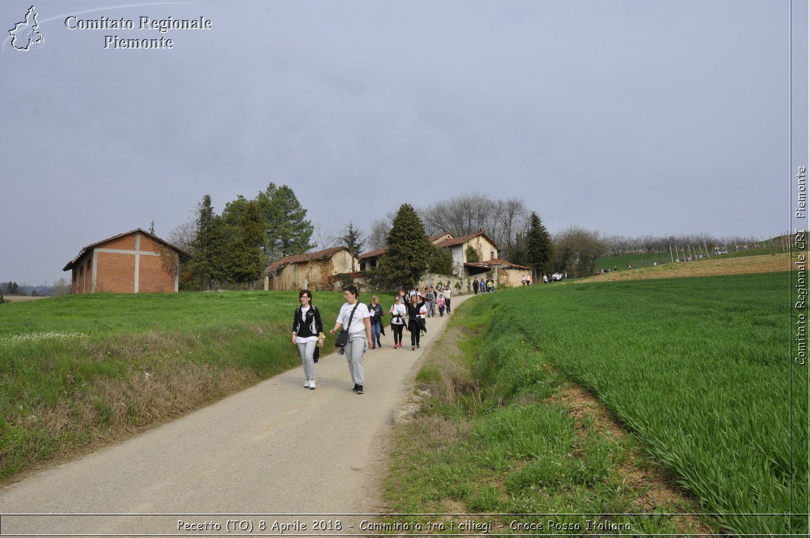 Pecetto (TO) 8 Aprile 2018 - Camminata tra i ciliegi - Croce Rossa Italiana- Comitato Regionale del Piemonte