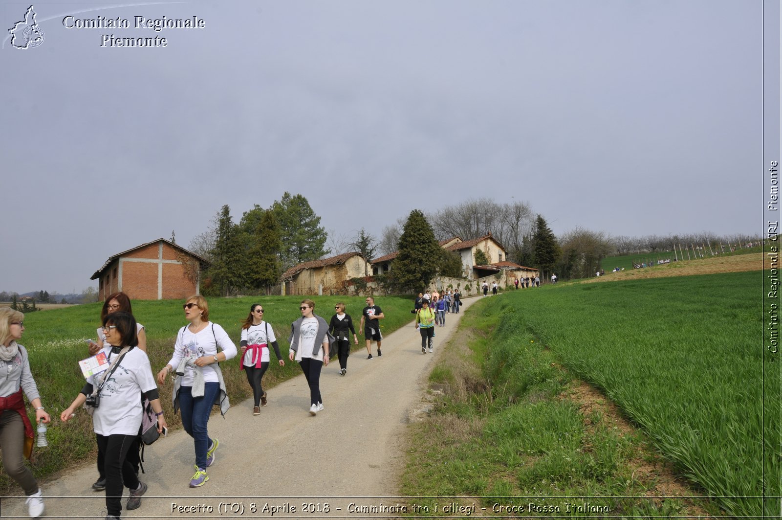 Pecetto (TO) 8 Aprile 2018 - Camminata tra i ciliegi - Croce Rossa Italiana- Comitato Regionale del Piemonte