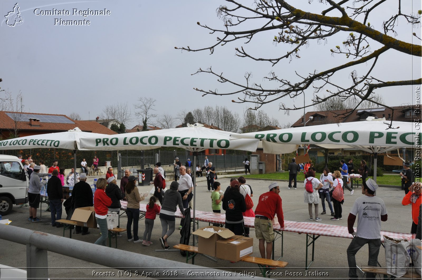 Pecetto (TO) 8 Aprile 2018 - Camminata tra i ciliegi - Croce Rossa Italiana- Comitato Regionale del Piemonte