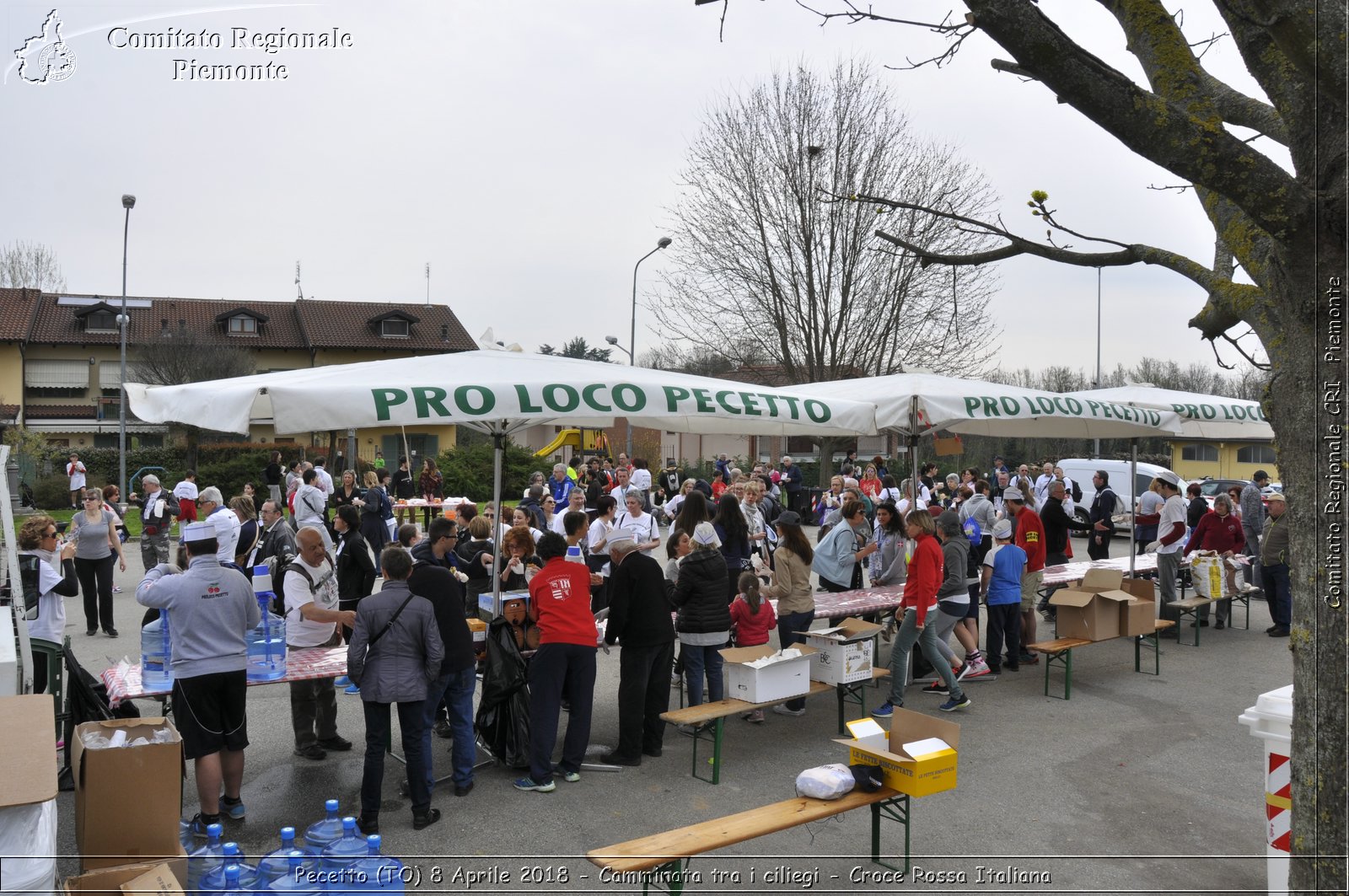 Pecetto (TO) 8 Aprile 2018 - Camminata tra i ciliegi - Croce Rossa Italiana- Comitato Regionale del Piemonte