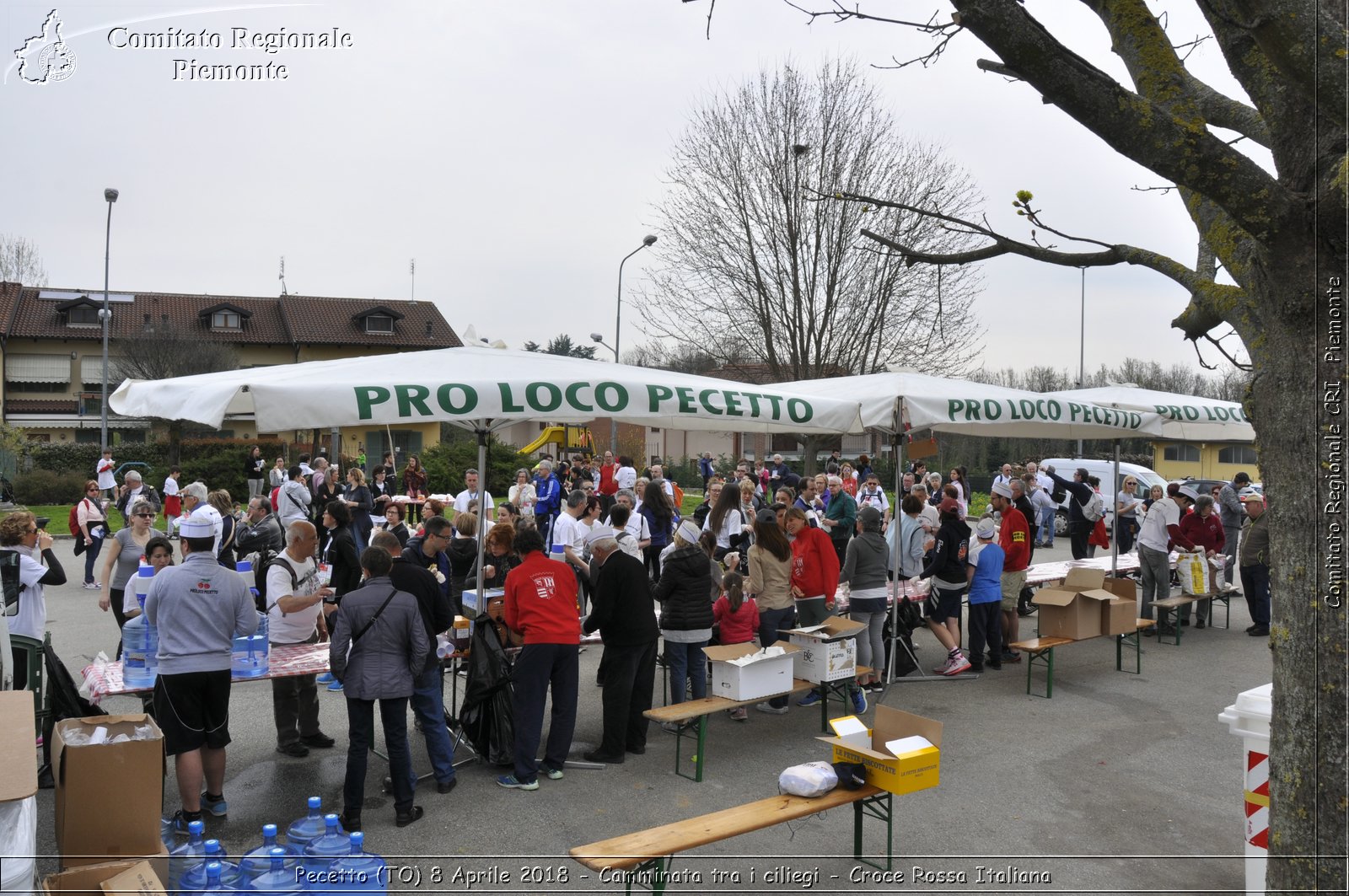 Pecetto (TO) 8 Aprile 2018 - Camminata tra i ciliegi - Croce Rossa Italiana- Comitato Regionale del Piemonte