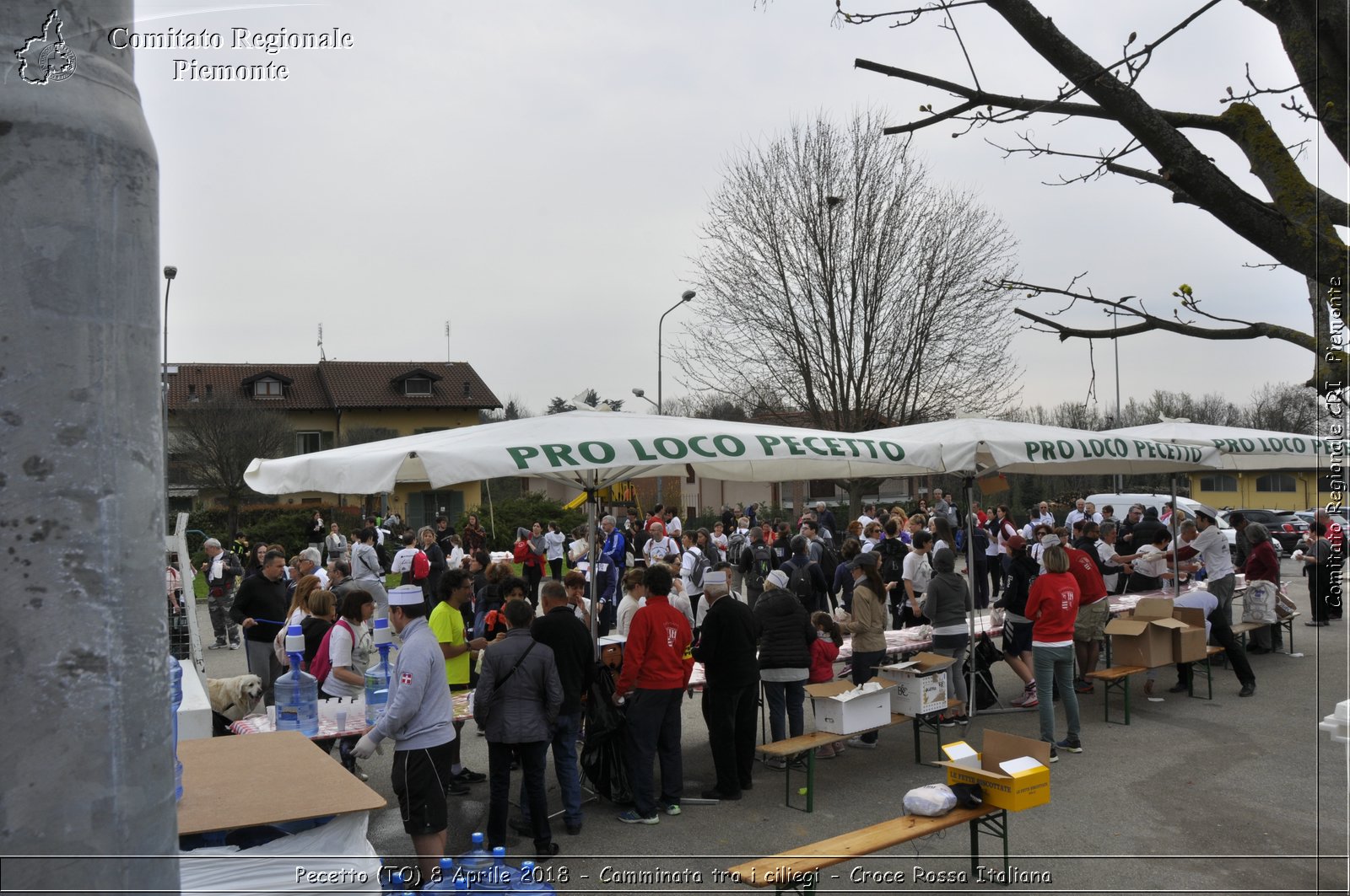 Pecetto (TO) 8 Aprile 2018 - Camminata tra i ciliegi - Croce Rossa Italiana- Comitato Regionale del Piemonte