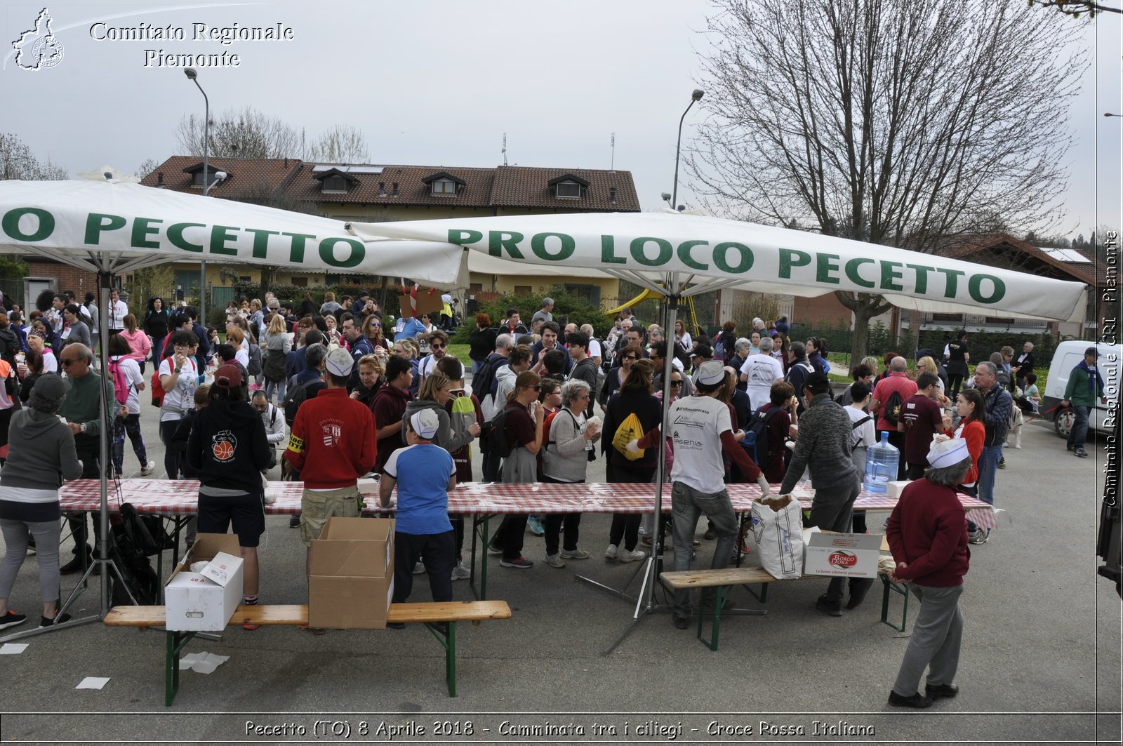 Pecetto (TO) 8 Aprile 2018 - Camminata tra i ciliegi - Croce Rossa Italiana- Comitato Regionale del Piemonte