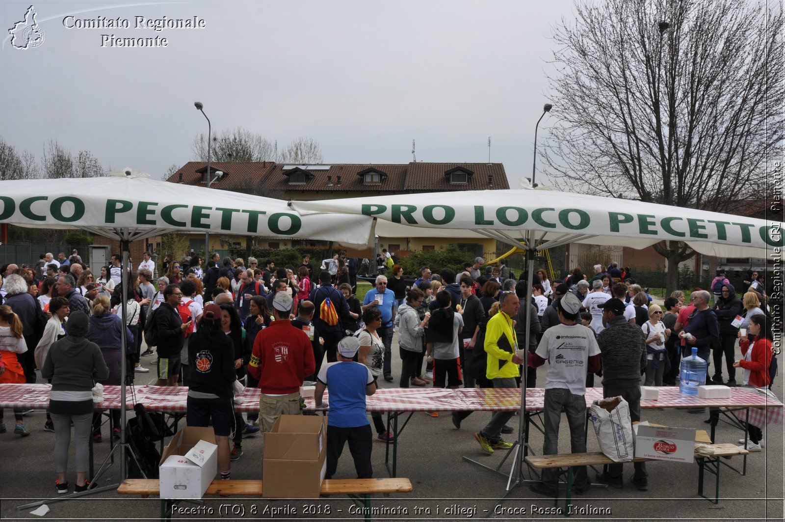 Pecetto (TO) 8 Aprile 2018 - Camminata tra i ciliegi - Croce Rossa Italiana- Comitato Regionale del Piemonte