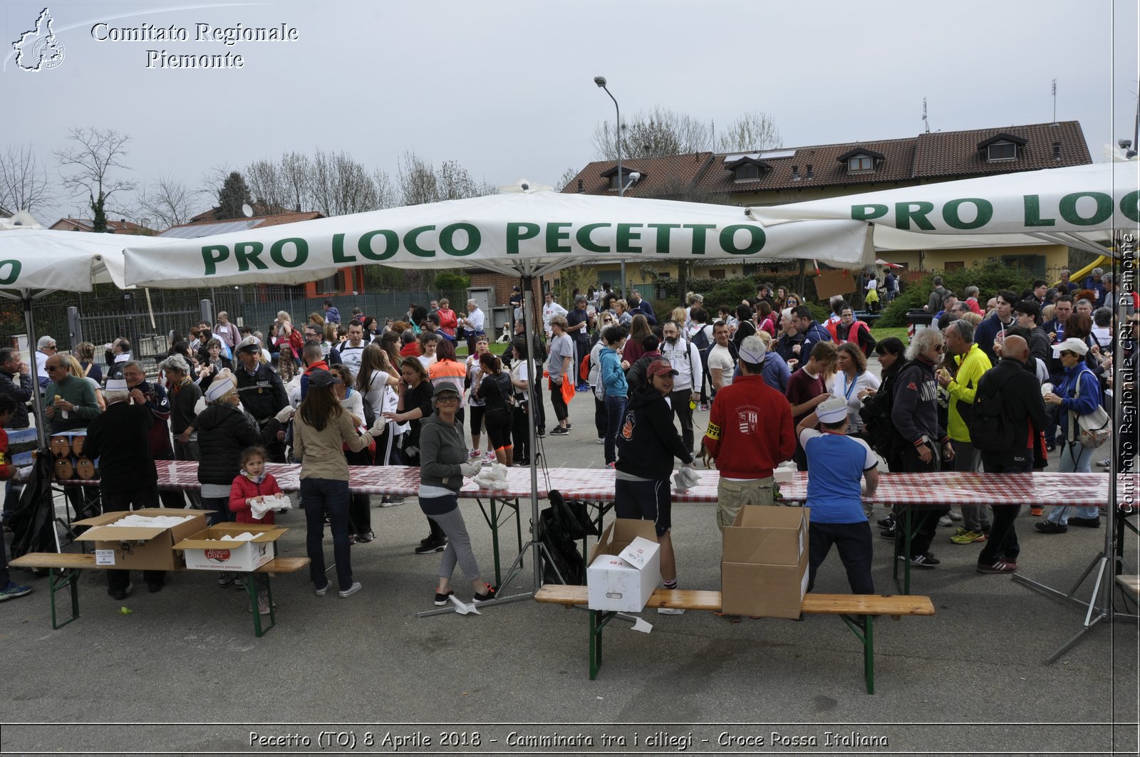 Pecetto (TO) 8 Aprile 2018 - Camminata tra i ciliegi - Croce Rossa Italiana- Comitato Regionale del Piemonte