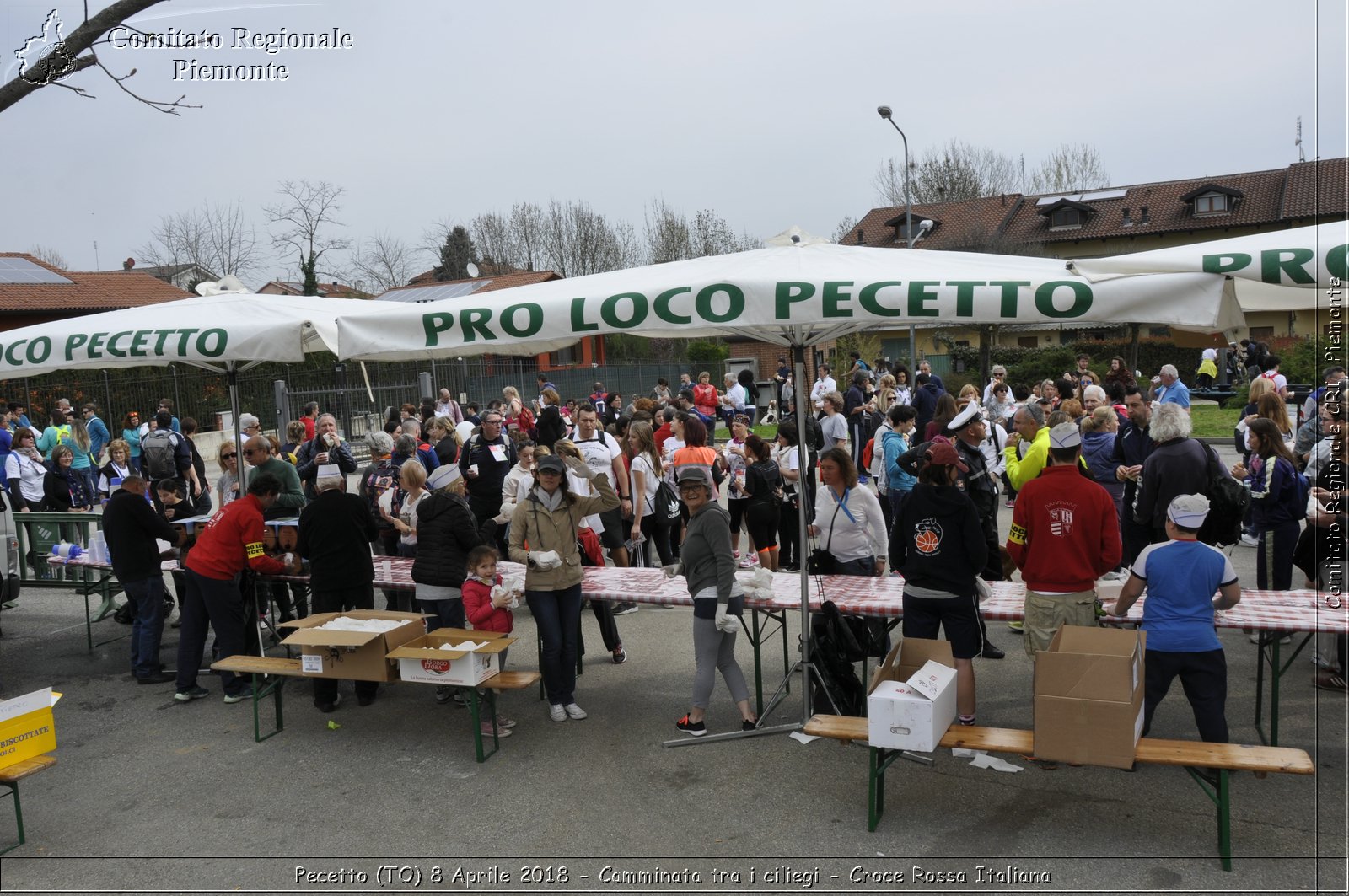 Pecetto (TO) 8 Aprile 2018 - Camminata tra i ciliegi - Croce Rossa Italiana- Comitato Regionale del Piemonte