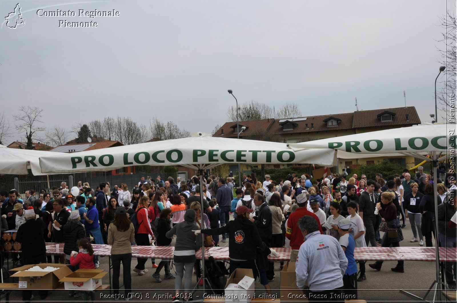 Pecetto (TO) 8 Aprile 2018 - Camminata tra i ciliegi - Croce Rossa Italiana- Comitato Regionale del Piemonte