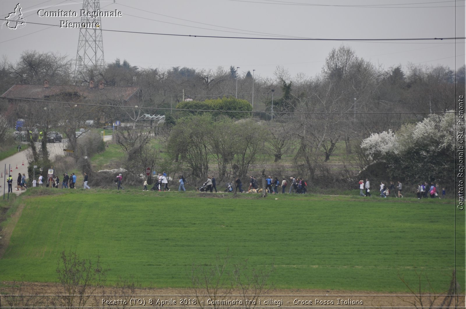 Pecetto (TO) 8 Aprile 2018 - Camminata tra i ciliegi - Croce Rossa Italiana- Comitato Regionale del Piemonte