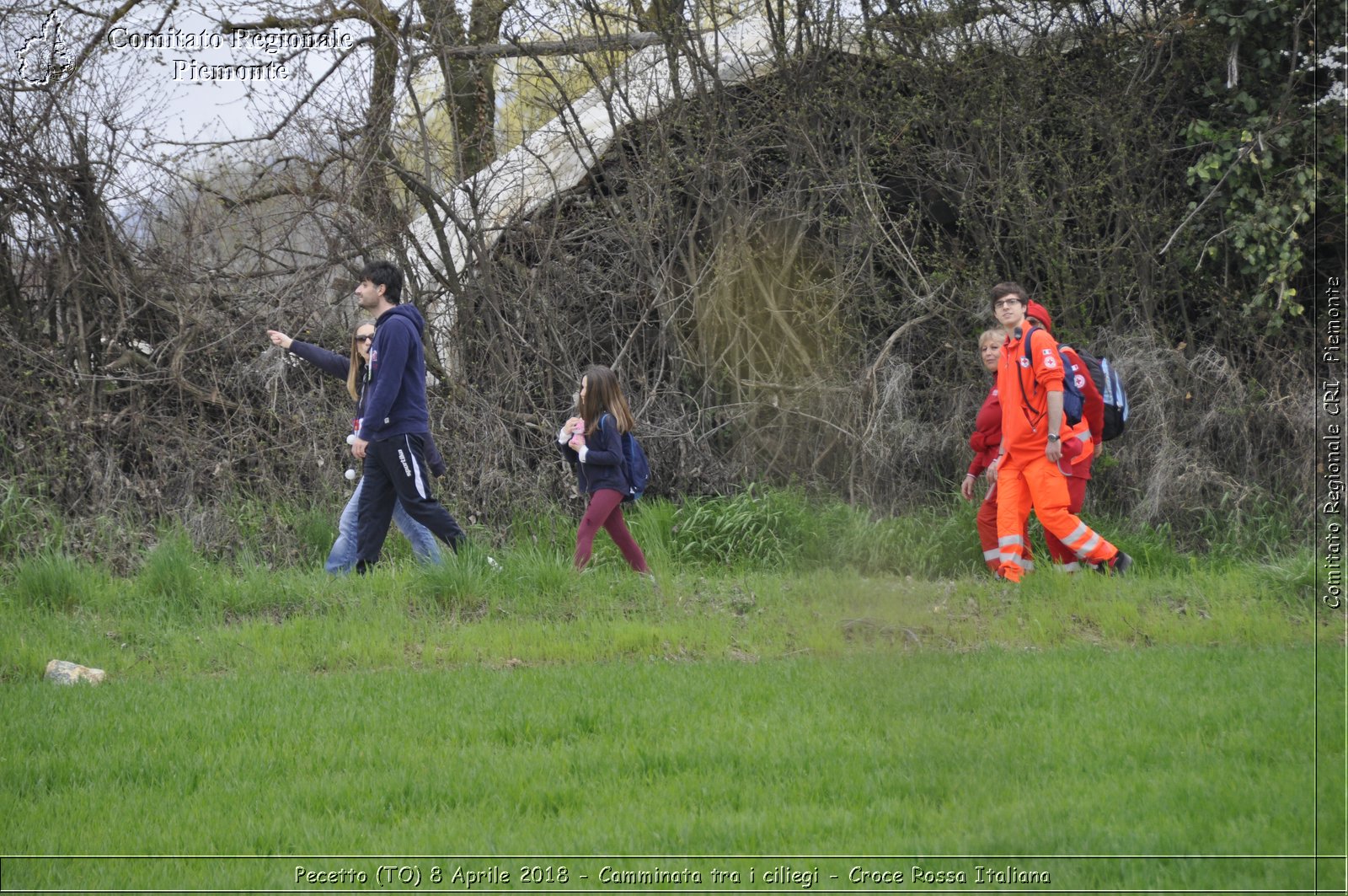 Pecetto (TO) 8 Aprile 2018 - Camminata tra i ciliegi - Croce Rossa Italiana- Comitato Regionale del Piemonte