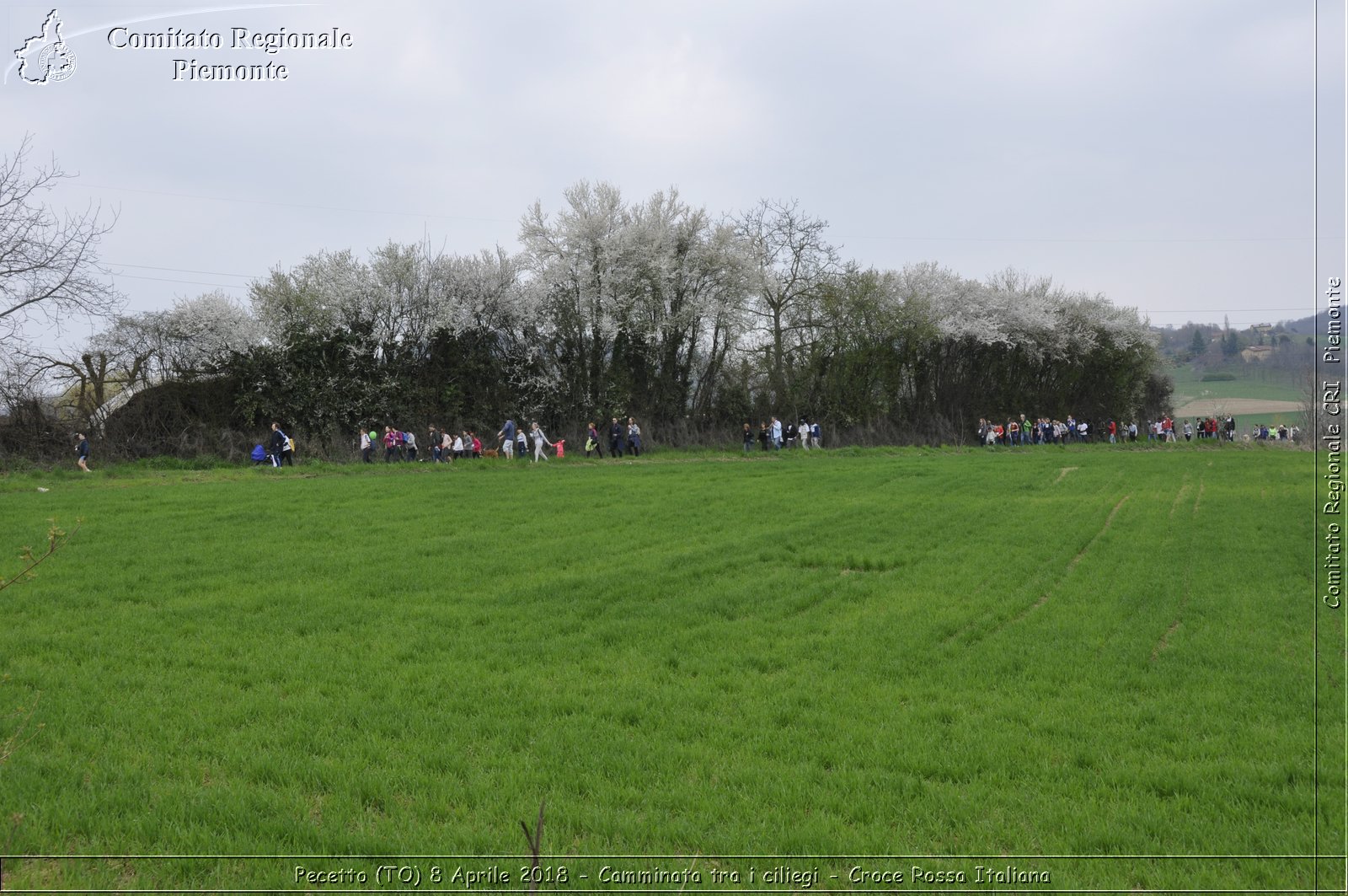 Pecetto (TO) 8 Aprile 2018 - Camminata tra i ciliegi - Croce Rossa Italiana- Comitato Regionale del Piemonte