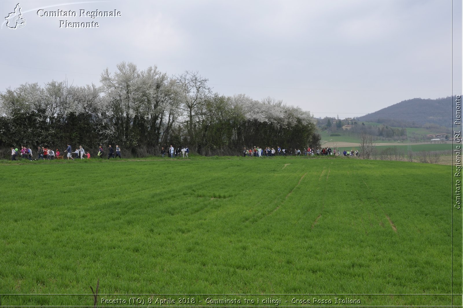 Pecetto (TO) 8 Aprile 2018 - Camminata tra i ciliegi - Croce Rossa Italiana- Comitato Regionale del Piemonte