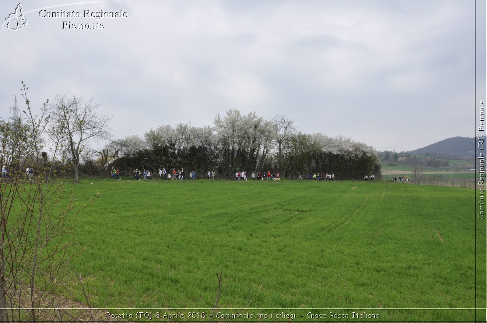 Pecetto (TO) 8 Aprile 2018 - Camminata tra i ciliegi - Croce Rossa Italiana- Comitato Regionale del Piemonte