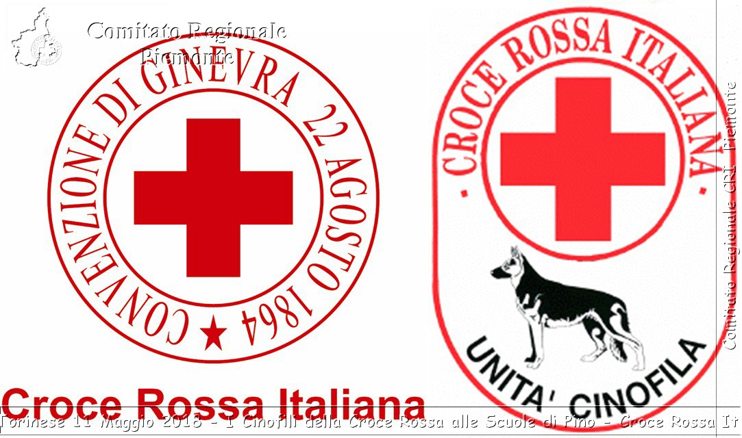 Pino Torinese 11 Maggio 2018 - I Cinofili della Croce Rossa alle Scuole di Pino - Croce Rossa Italiana- Comitato Regionale del Piemonte