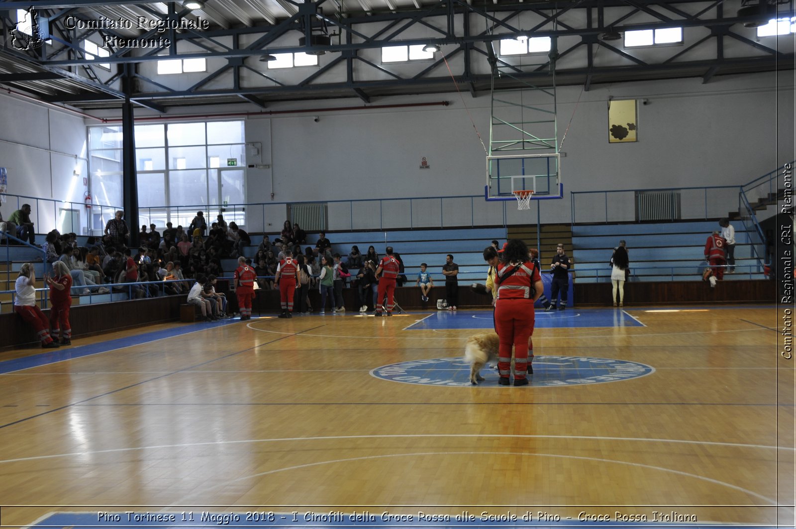 Pino Torinese 11 Maggio 2018 - I Cinofili della Croce Rossa alle Scuole di Pino - Croce Rossa Italiana- Comitato Regionale del Piemonte