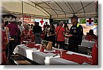 Galliate 9 Giugno 2018 - La Festa annuale del Volontario - Croce Rossa Italiana- Comitato Regionale del Piemonte