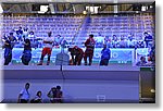 Torino 27 Settembre 2018 - Campionati Mondiali Pallavolo - Croce Rossa Italiana- Comitato Regionale del Piemonte