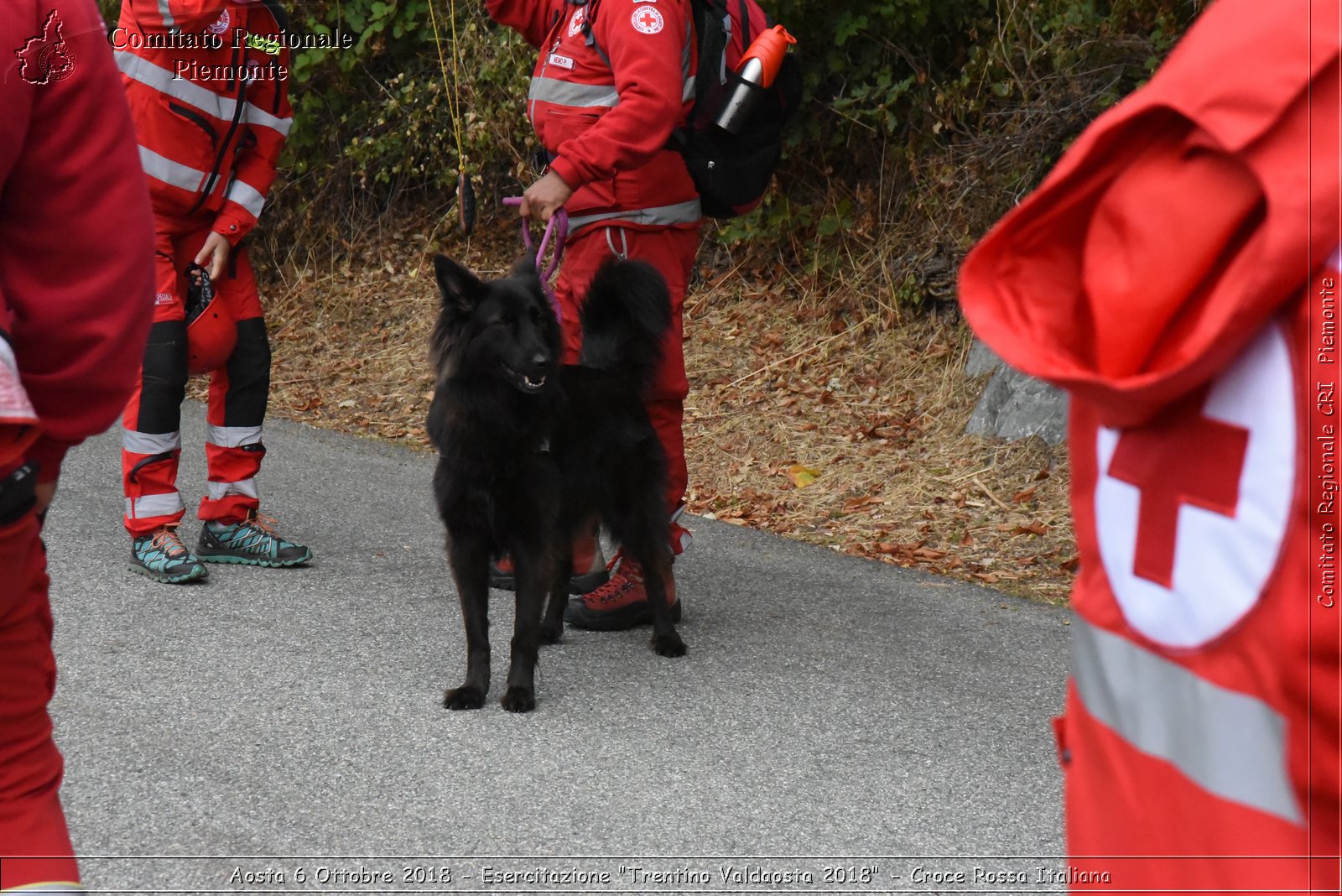 Aosta 6 Ottobre 2018 - Esercitazione "Trentino Valdaosta 2018" - Croce Rossa Italiana- Comitato Regionale del Piemonte